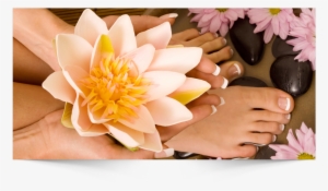 European Pedicure