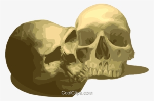 Human Skulls Royalty Free Vector Clip Art Illustration - Scientist