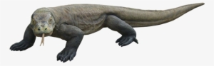 Komodo Dragon Png Hd - Le Dragon De Komodo Png