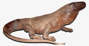 Komodo National Park - Komodowaran Png