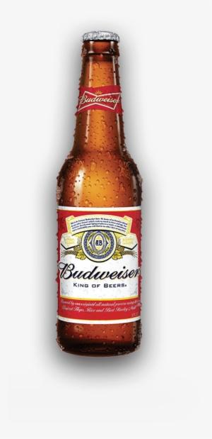 Beer Distributor - World Best Beer Brands