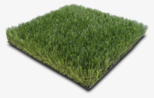 Artificial Turf