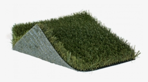 Artificial Turf Png Hd