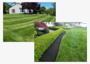Professional Landscape Contractors - Landscape Contractor
