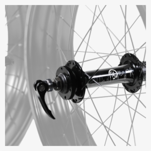 Coast Cycles Skyline Rear Hub - Bicycle Hub