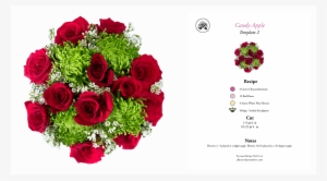 Red Candy Apple - Floribunda