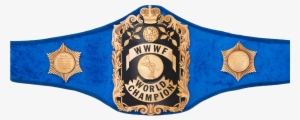 Bruno Sammartino Wwe Belt