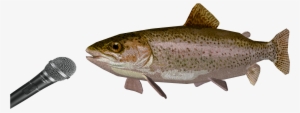 Mic Trout - Twitter