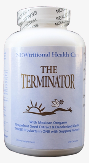 The Teminator - Scorpion