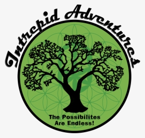 Cole & Grey Aluminum Tree Wall Decor