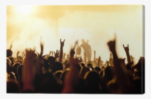 Dmt Dld-72 Mkii Double Monitor System