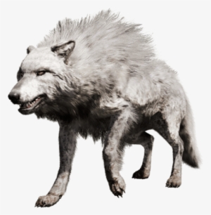 You Can Tame It - Far Cry Primal Lobo