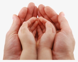 Newbabies - Child And Adult Hands