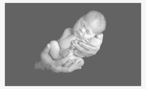 Baby In Hands Bg2 - Baby