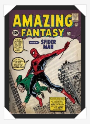 #325 - Comic Book Cover Spider-man Issue 1 Wall Stickers
