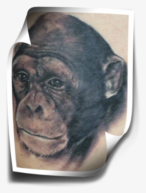 Realistic Monkey Face Tattoo Design - Tattoo