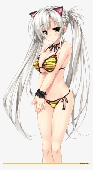 Ecchi,anime Erotic And Sexy Anime Girls, Schoolgirls