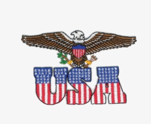 1280 Eagle Usa Patch - Eagle