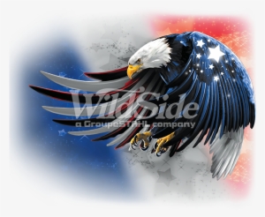 Usa Eagle