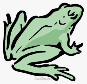 Cartoon Frog Royalty Free Vector Clip Art Illustration - Illustration