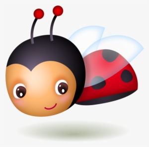 Lady Bugs Ladybug Insect
