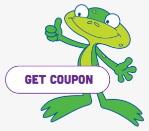 Our Mission - Kandoo Frog