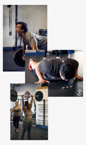 By Phil Sarris And Has Steadily Grown Into A Pillar - Biceps Curl