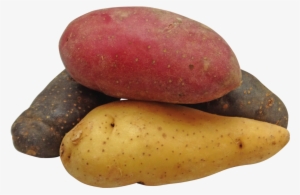 The Foams For The Study Were Made From Potato Starch, - Potatoes Png