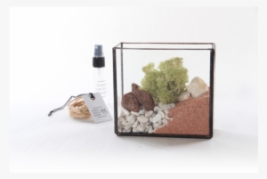 Urban Green Makers Glass Terrarium