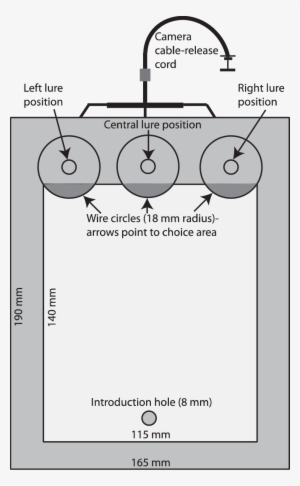 Rectangular Glass Box With Glass Lid, Sitting On Top - Diagram