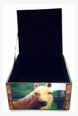 Glass Box - Horse 10x10x6cm - Grizzly Bear