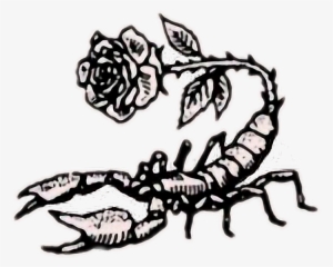 Tumblr Rose Rock Scorpion Aesthetic Retro Flower Art - Scorpion Rose