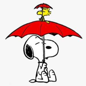 Parapluie - Umbrella