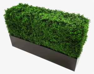 Metal Planter For Artificial Hedges