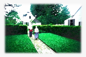 “love Your Neighbour - Tree