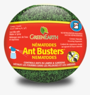 Green Earth Ant Busters Nematodes - Nema-globe 310 Grub Busters Natural Grub Eliminator
