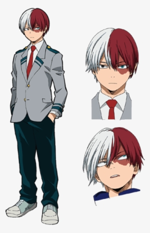 Hero Academia Shoto Todoroki
