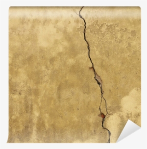 Paper