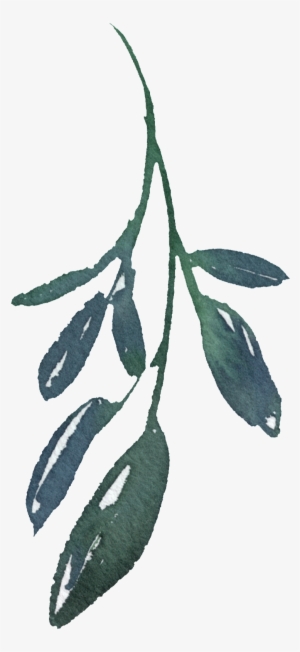 Hand Painted A Bamboo Leaf Png Transparent - Portable Network Graphics