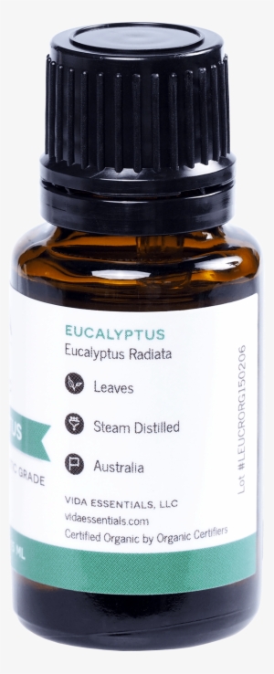 Eucalyptus - Essential Oil