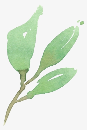 Green Leaves 04 - Leaf