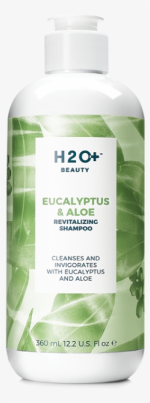 H2o+ Beauty Eucalyptus & Aloe Body Wash 12.2 Oz