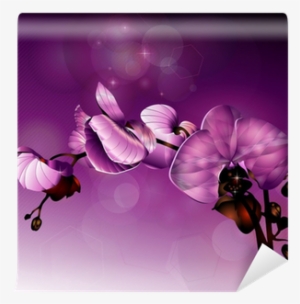3d Dark Pink Orchid Flower Illustration Wall Mural - Orchids