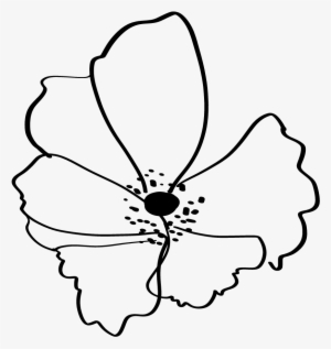 Webflowers2-01 - Portable Network Graphics