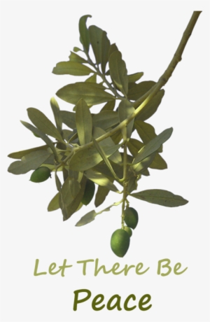 Click And Drag To Re-position The Image, If Desired - Plant Peace Daily: Everyday Outreach For People