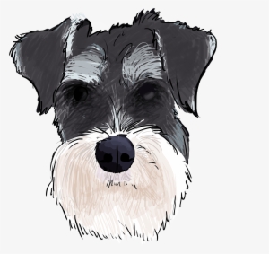 5 Why Are You A Schnauzer - Schnauzer Transparent
