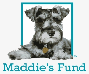 Maddie's Fund