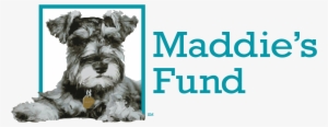 High Resolution Png - Maddies Fund