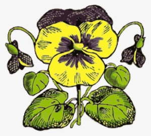 How To Set Use Pansy Svg Vector - Flowers Clip Art