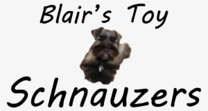 Isometric Strawberry Icon